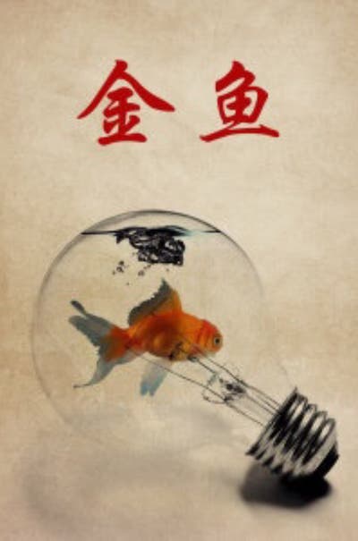 Di Wu - Huangjin Yu AKA Goldfish (1995) Huangjin Yu (1995)