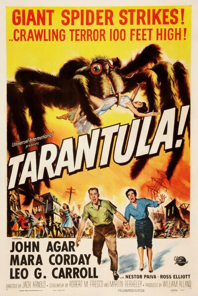 Jack Arnold - Tarantula (1955) (HD) Tarantula (1955)