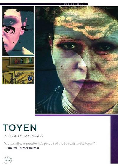 Jan Nemec - Toyen (2005) Toyen (2005)