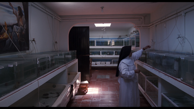 A Common Sequence (2023)